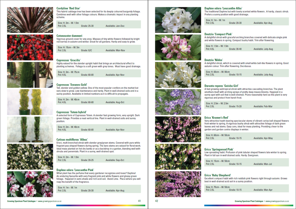 Plant catalogs Discover our selection of plant catalogs to get