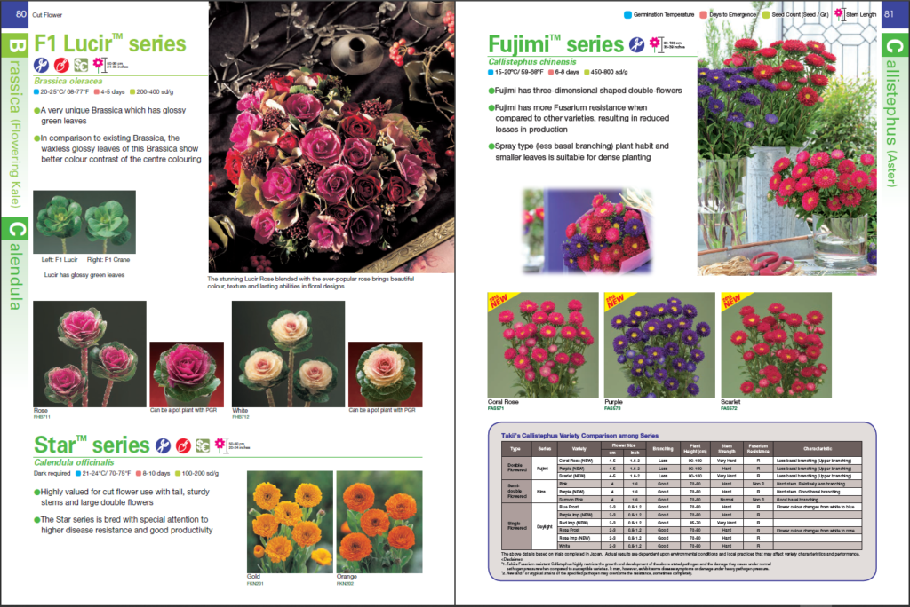 Flower catalogs - A selection of 10 real catalogs of different brands