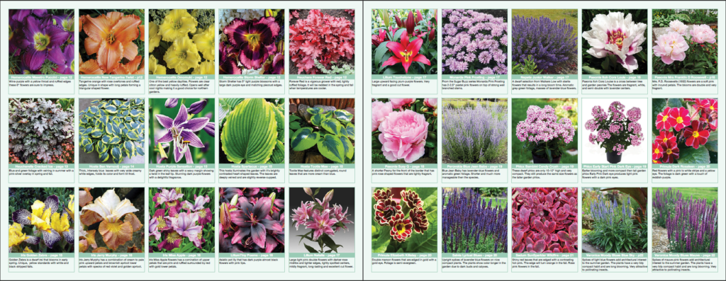 Garden Catalogues Fasci Garden   A Spartan And Efficient Catalog 2 1024x397 