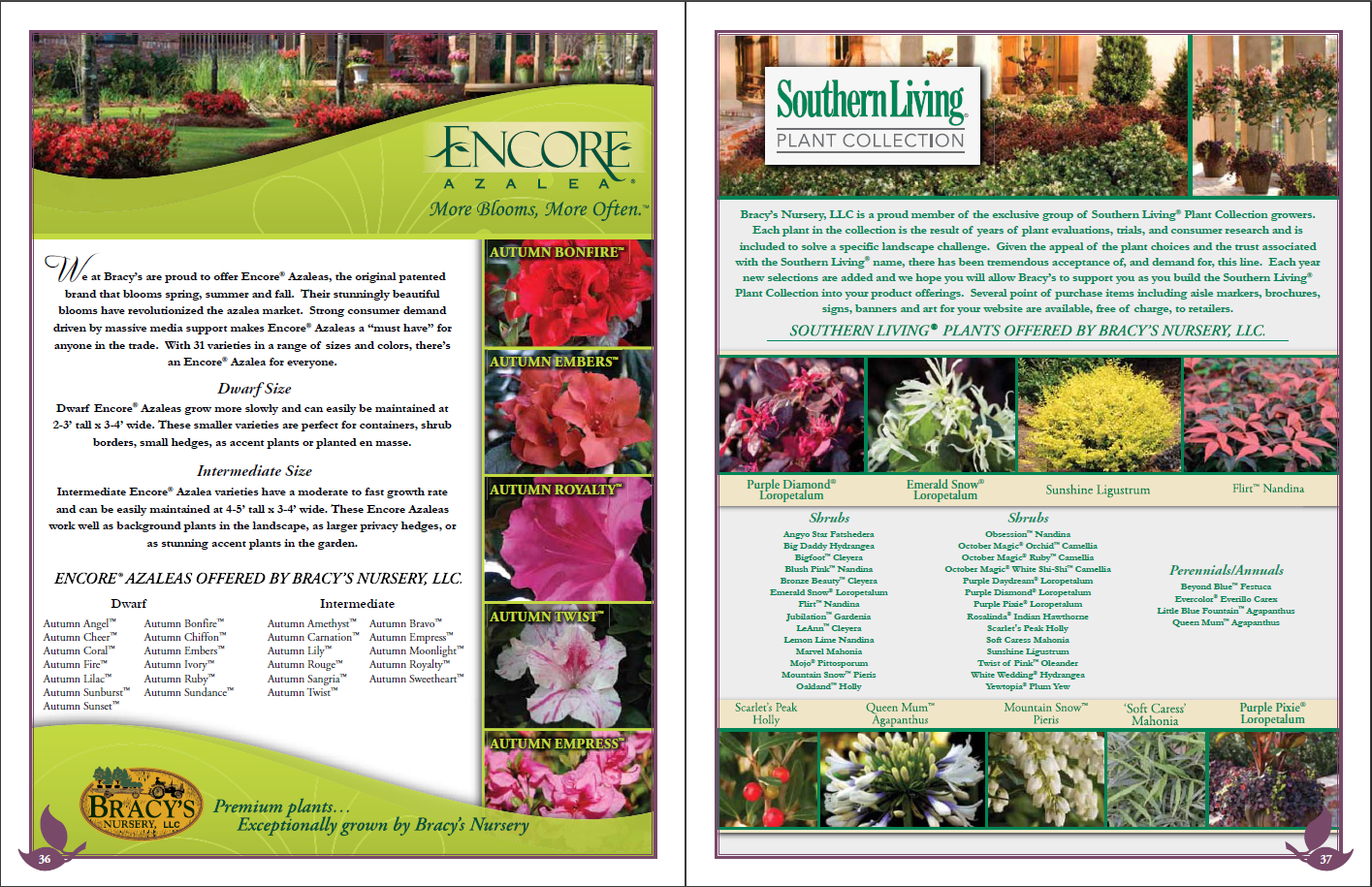 Plant catalogs Discover our selection of plant catalogs to get