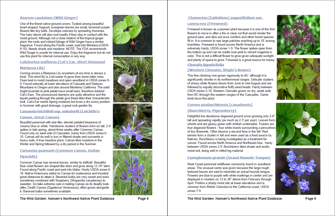 Plant catalogs Discover our selection of plant catalogs to get