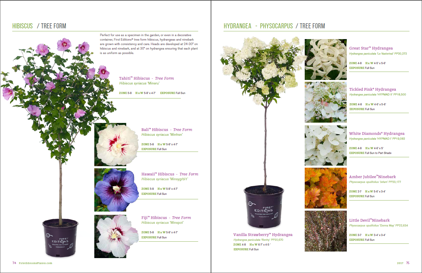 Plant Catalogs Discover Our Selection Of Plant Catalogs To Get   An Informative Catalog 2 