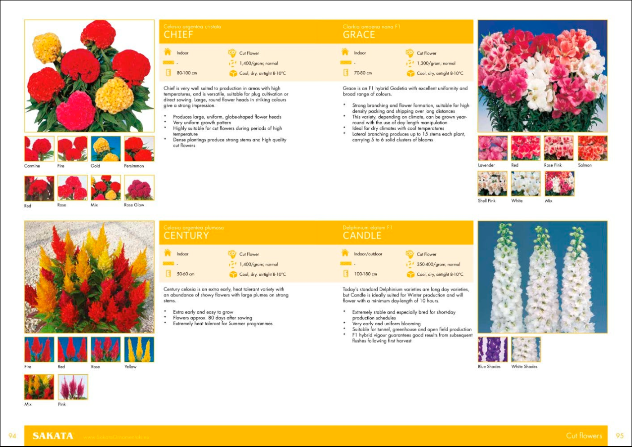 Flower catalogs A selection of 10 real catalogs of different brands