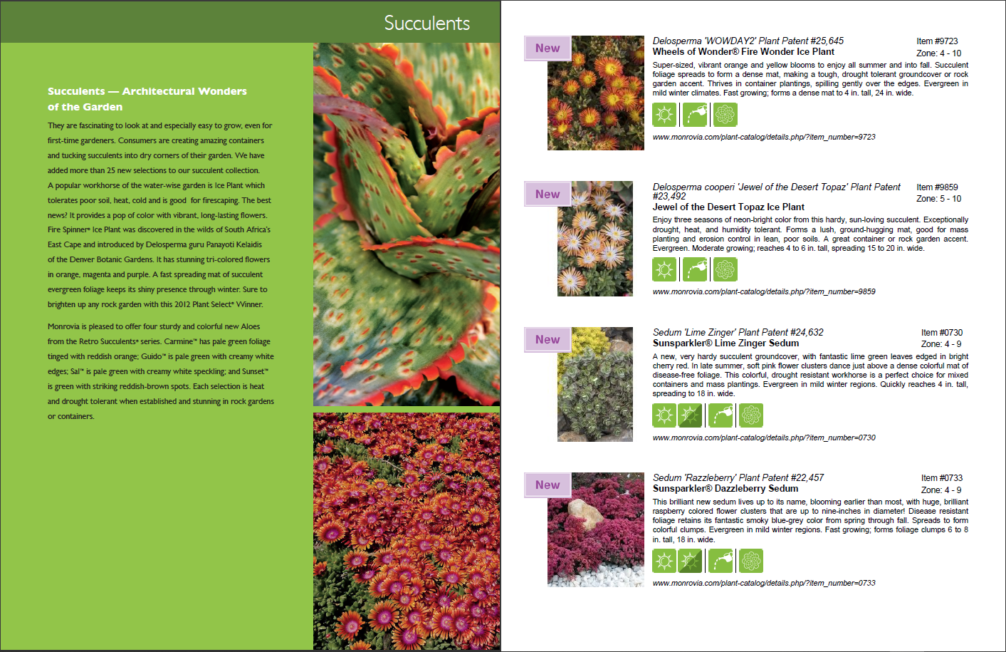 Plant catalogs Discover our selection of plant catalogs to get