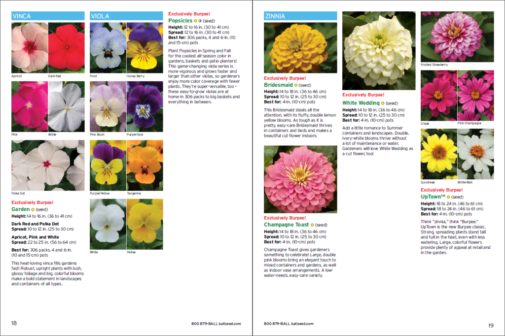 Flower catalogs A selection of 10 real catalogs of different brands