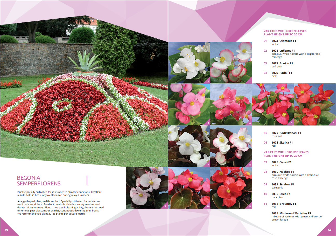 Flower Catalogs A Selection Of 10 Real Catalogs Of Different Brands   Compact And Colorful Flower Catalog 