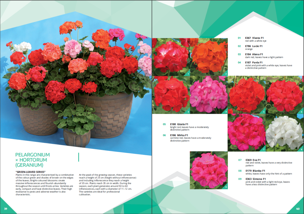 Flower catalogs A selection of 10 real catalogs of different brands