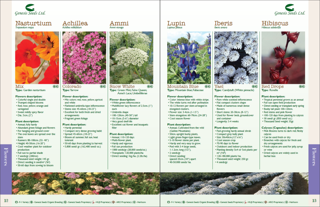 Flower catalogs A selection of 10 real catalogs of different brands