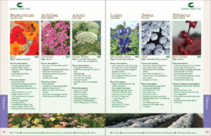 Flower catalogs - A selection of 10 real catalogs of different brands