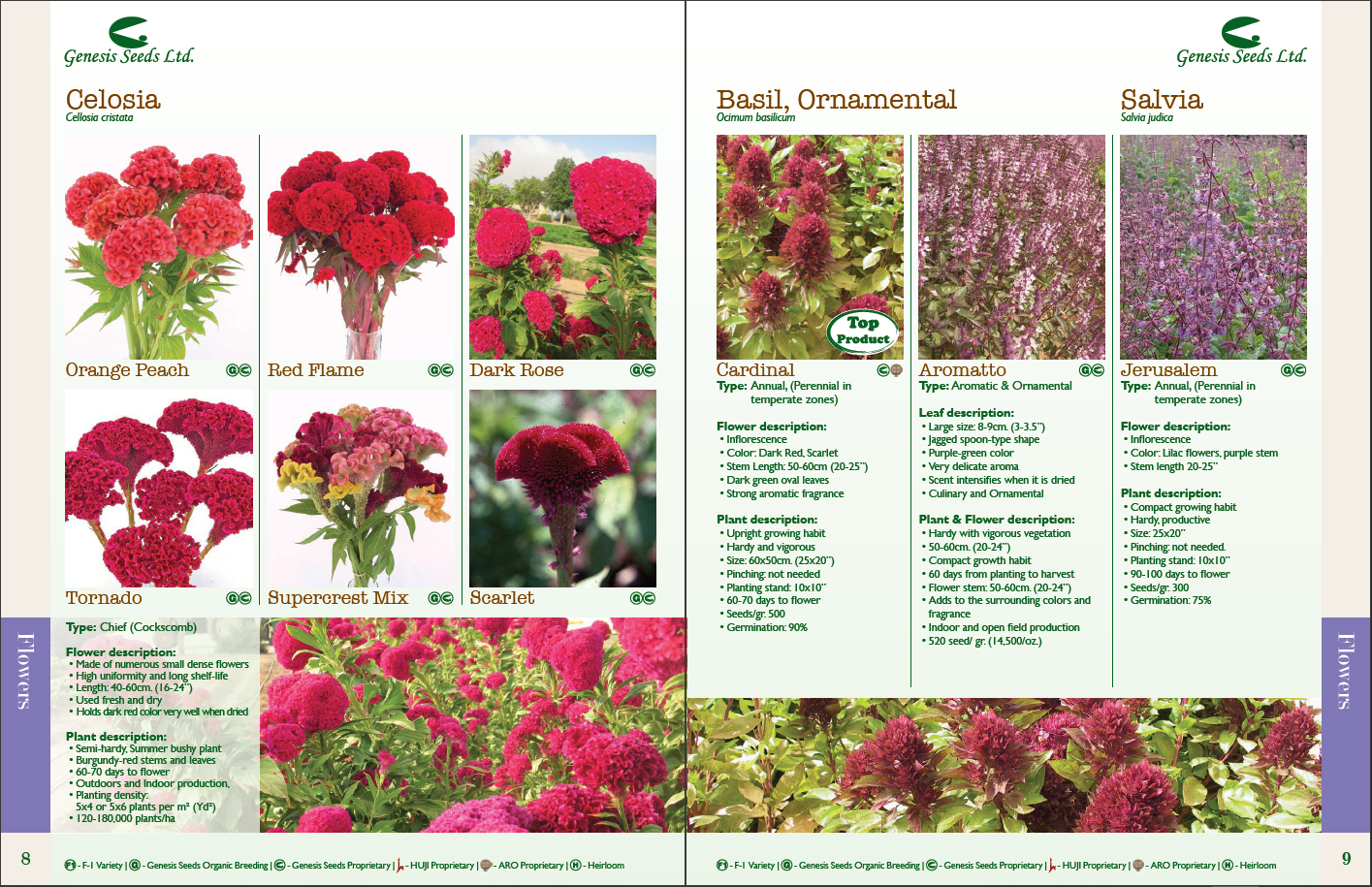 Flower catalogs A selection of 10 real catalogs of different brands