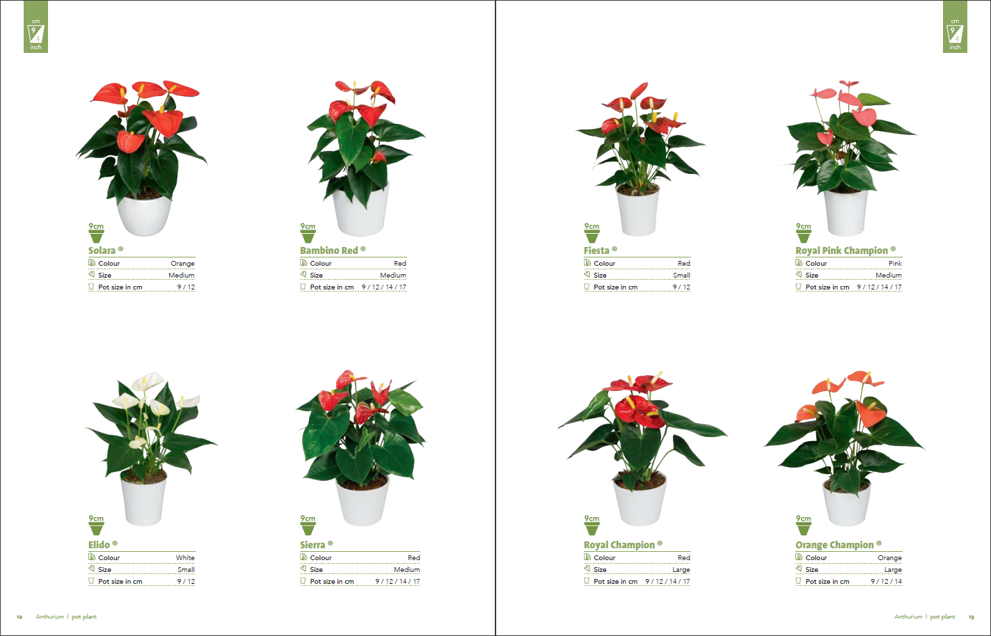 Flower catalogs A selection of 10 real catalogs of different brands