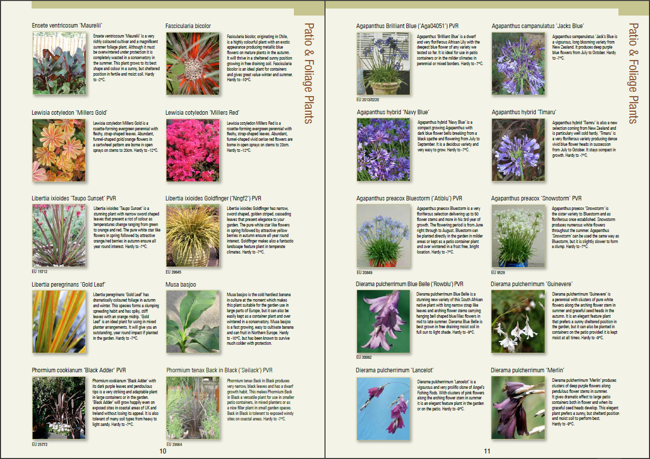 Plant catalogs Discover our selection of plant catalogs to get