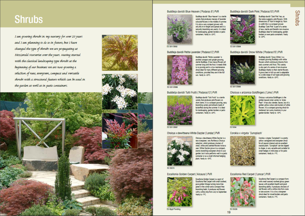 Plant catalogs Discover our selection of plant catalogs to get