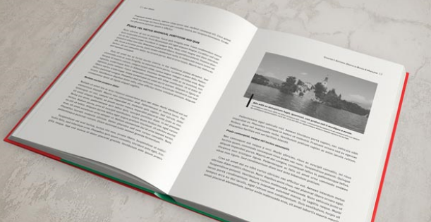 30+ Best InDesign Book Templates (Free Book Layouts) - Theme Junkie